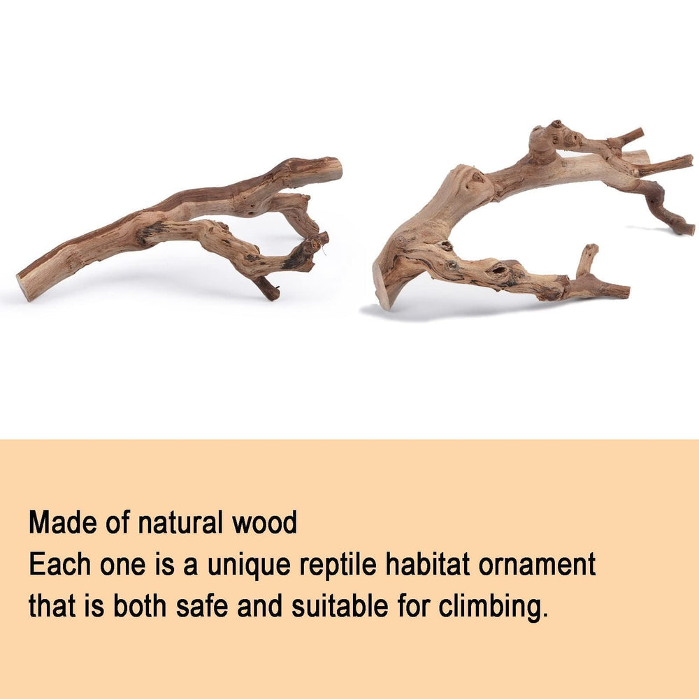 BNOSDM realistic wood branch enhances gecko terrarium aesthetics and habitat