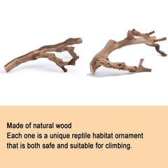 BNOSDM realistic wood branch enhances gecko terrarium aesthetics and habitat