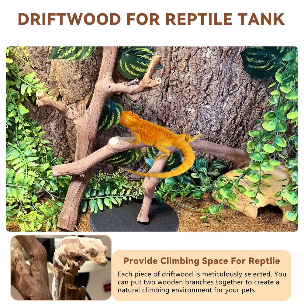 BNOSDM reptile wood branch provides authentic habitat decor and safe enrichment