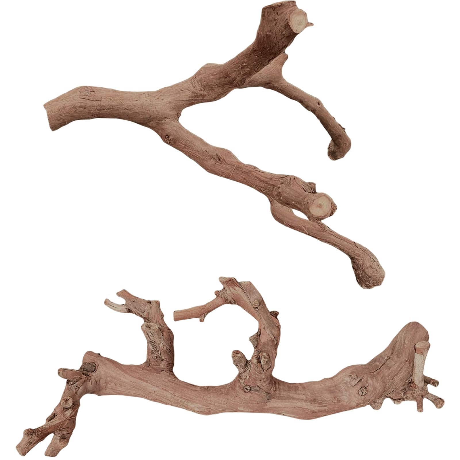 BNOSDM reptile natural wood branch for climbing and basking in terrarium