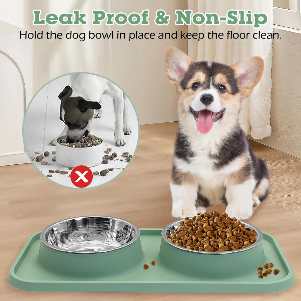 BNOSDM two-bowl set provides separate meals for pets.