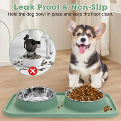 BNOSDM two-bowl set provides separate meals for pets.