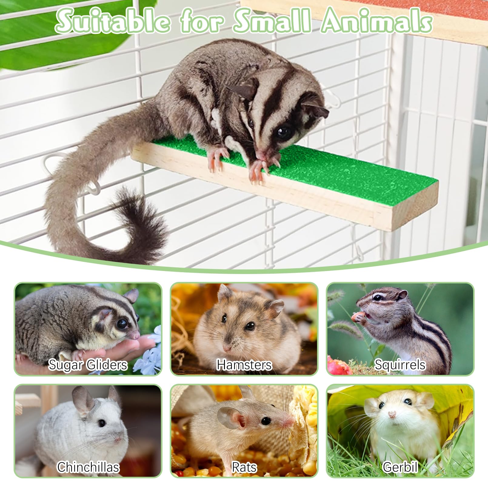 BNOSDM small animal climbing set ideal for hamsters, squirrels, chinchillas, and more.