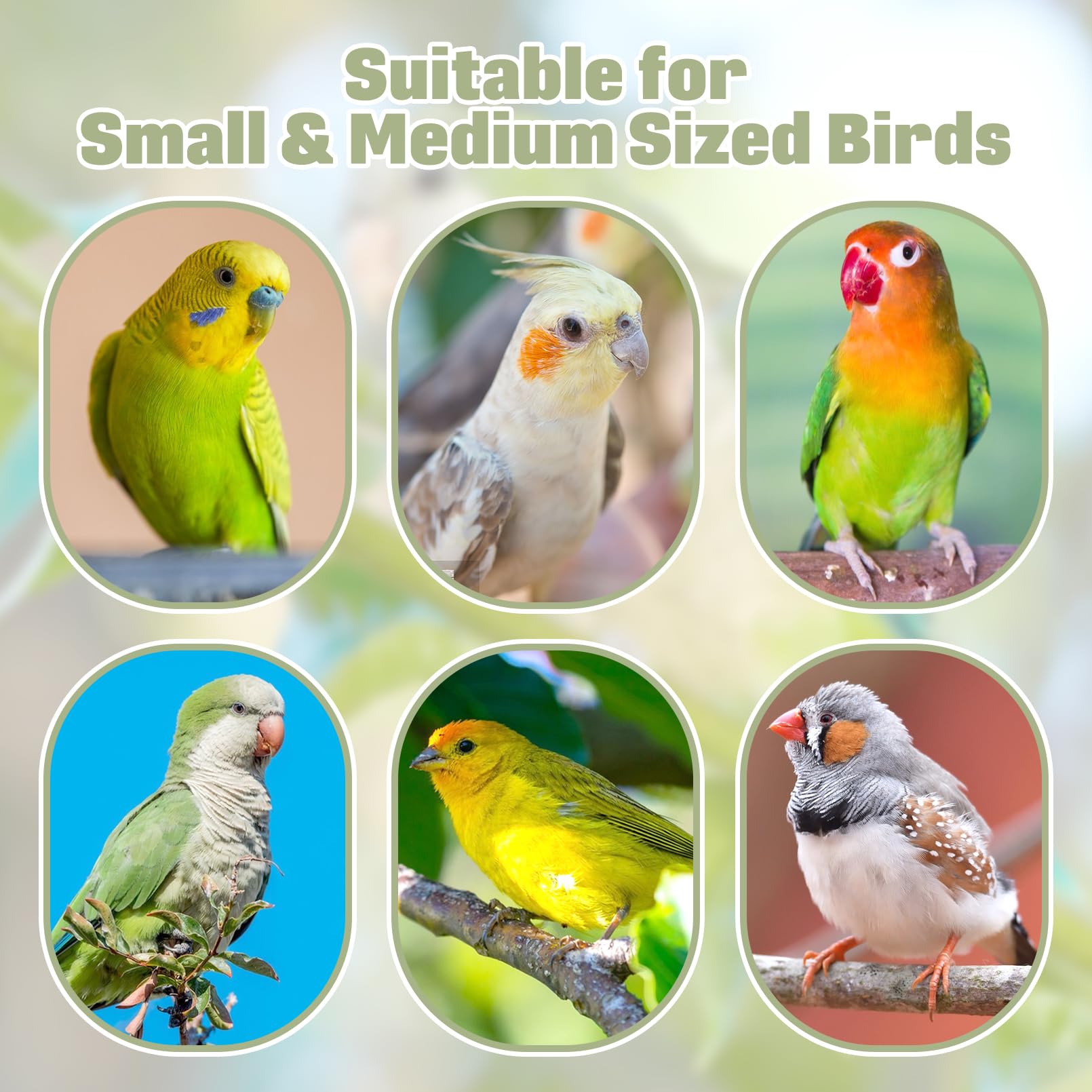 BNOSDM-small-bird-compatible-toy supports parrots and parakeets with enrichment.
