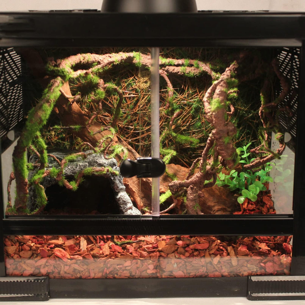 BNOSDM snake and chameleon enclosure vines blend with plants for camouflage