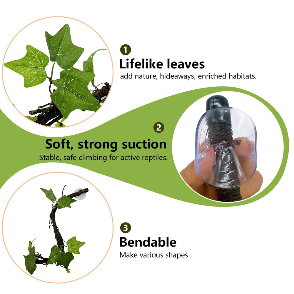 BNOSDM suction cups securely mount reptile decor.