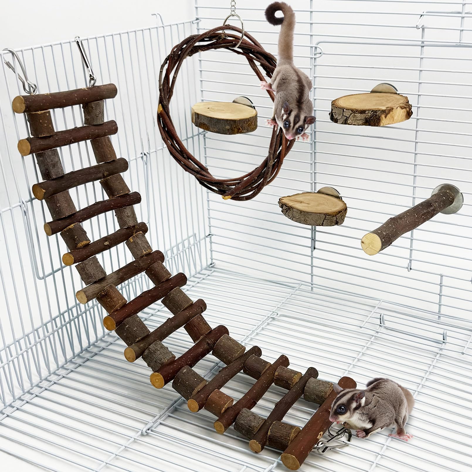 BNOSDM Sugar Glide ladder promotes climbing and coordination for small pets.
