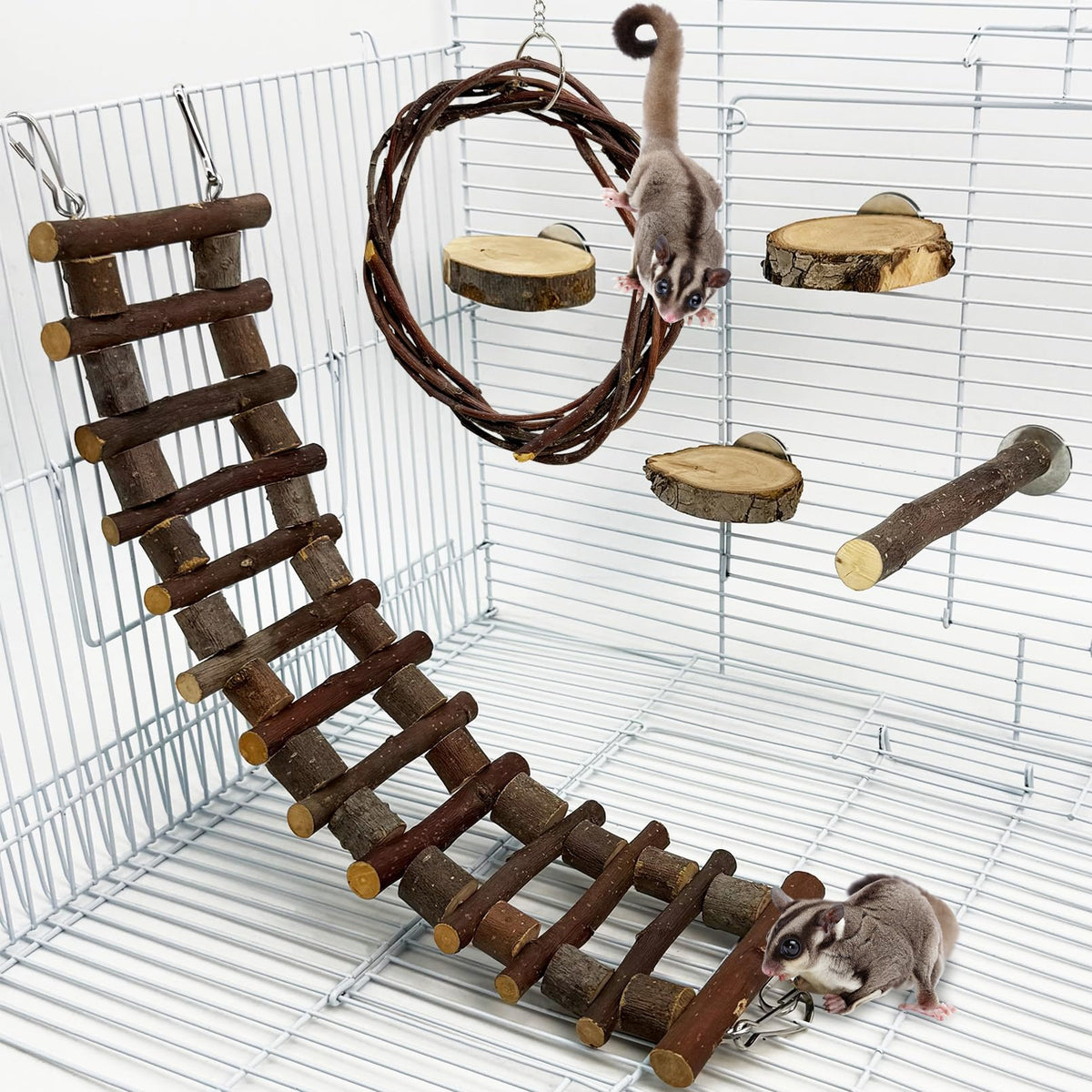 BNOSDM Sugar Glide ladder promotes climbing and coordination for small pets.