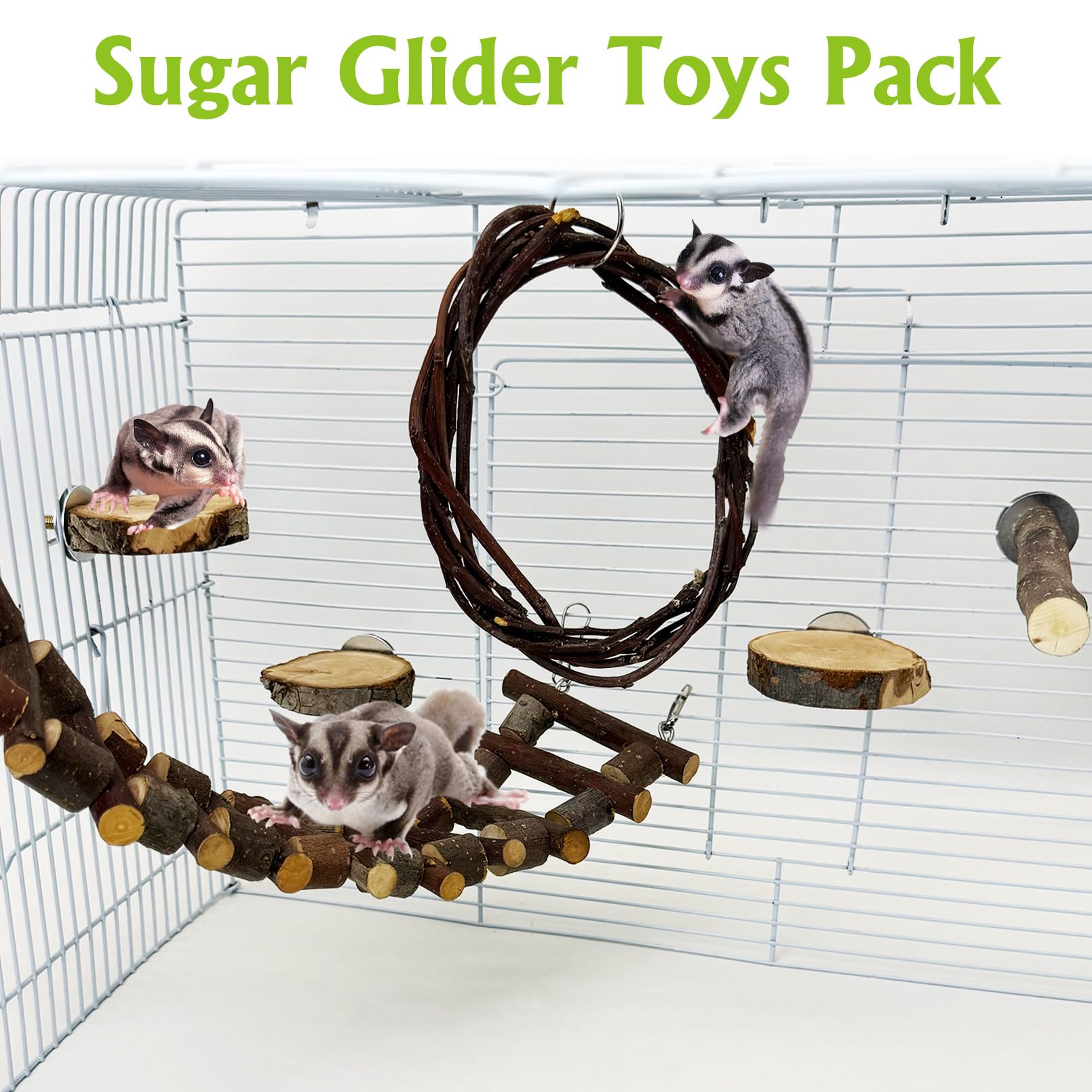 BNOSDM Sugar Glide swing encourages playful movement and enrichment.