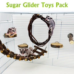 BNOSDM Sugar Glide swing encourages playful movement and enrichment.