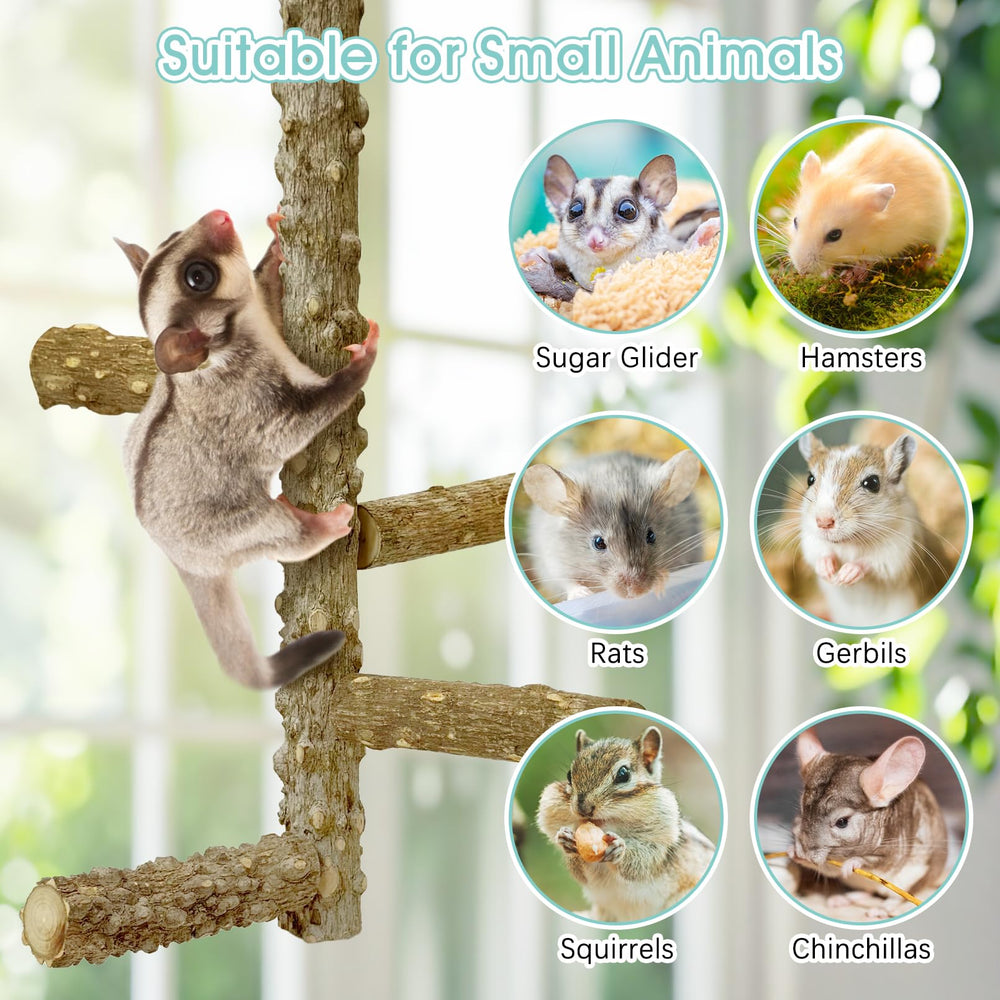 BNOSDM Sugar Glider Perch in Use demonstrates shared play space for multiple small pets.