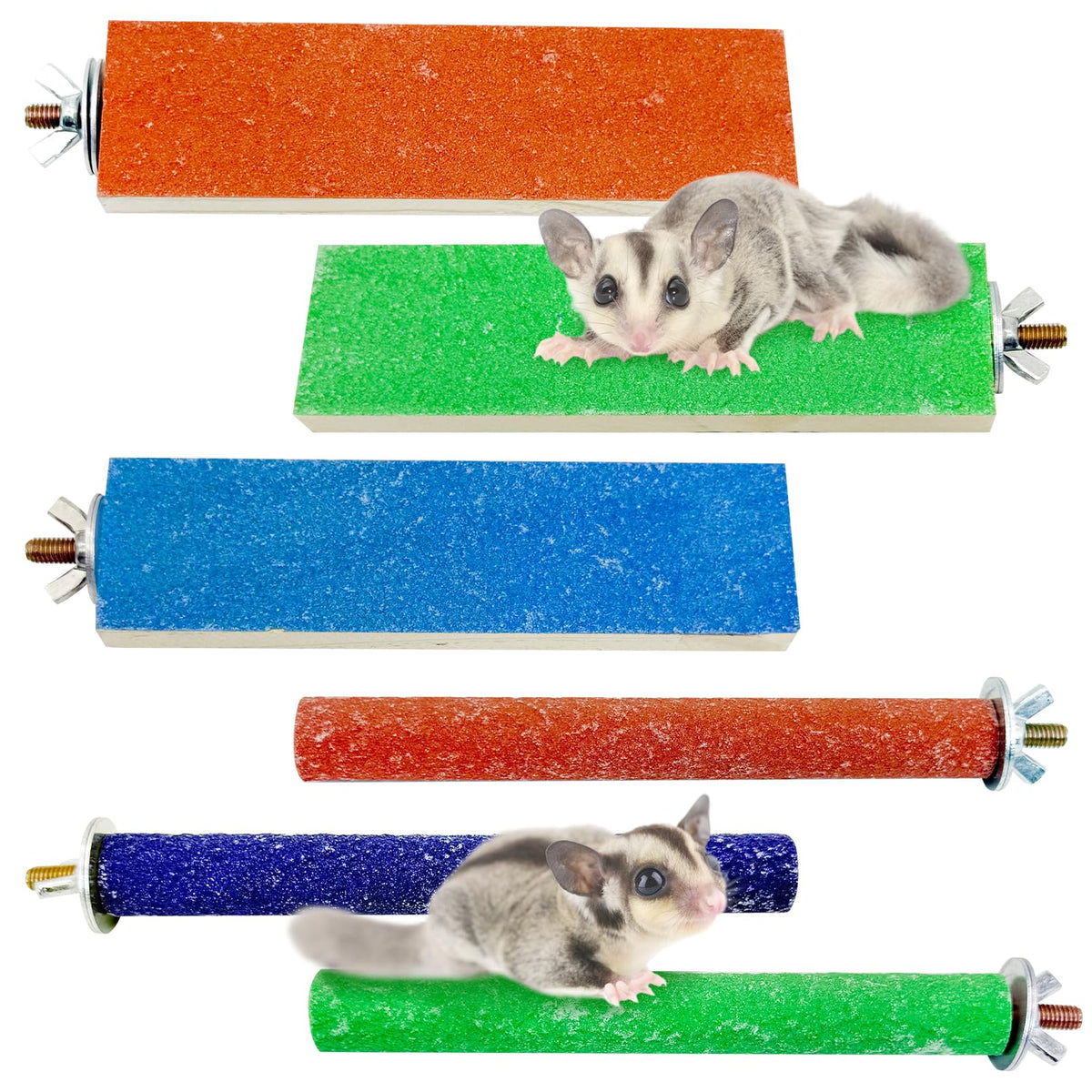 BNOSDM sugar glider perch, colorful wood, promotes safe jumping between perches.
