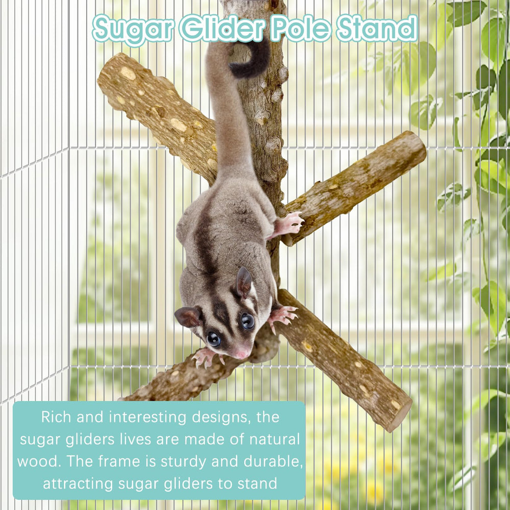 BNOSDM Sugar Glider Perch In-Cage Setup shows vertical climbing space extension.