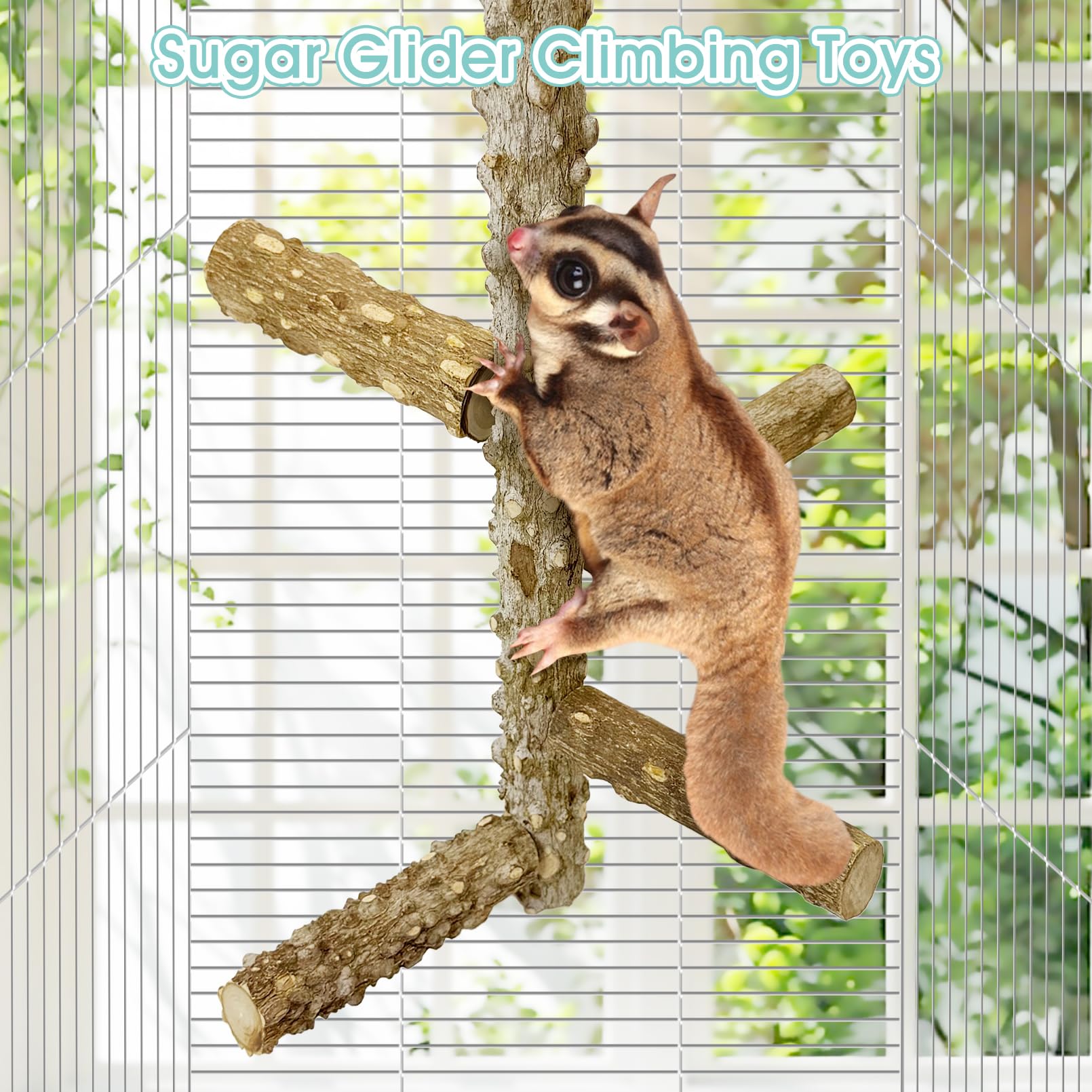 BNOSDM Sugar Glider Perch Install Steps demonstrates easy securing setup.