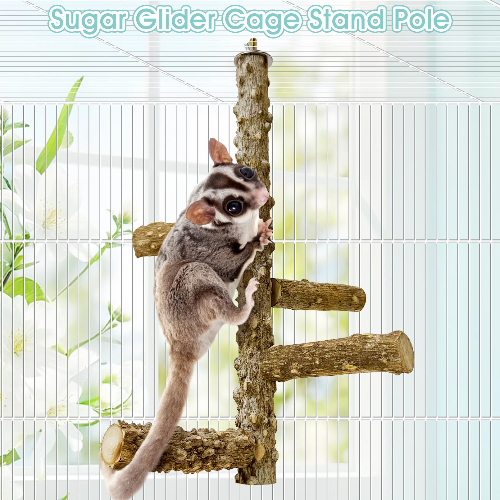BNOSDM Sugar Glider Perch Short Pole creates compact climbing spots for small pets.