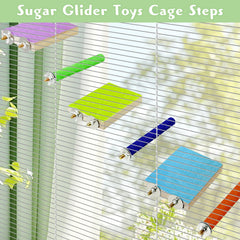 BNOSDM sugar glider stand perch arrangement provides varied climbing routes