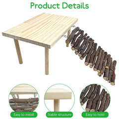 BNOSDM tortoise-friendly platform supports basking and climbing in compact habitats
