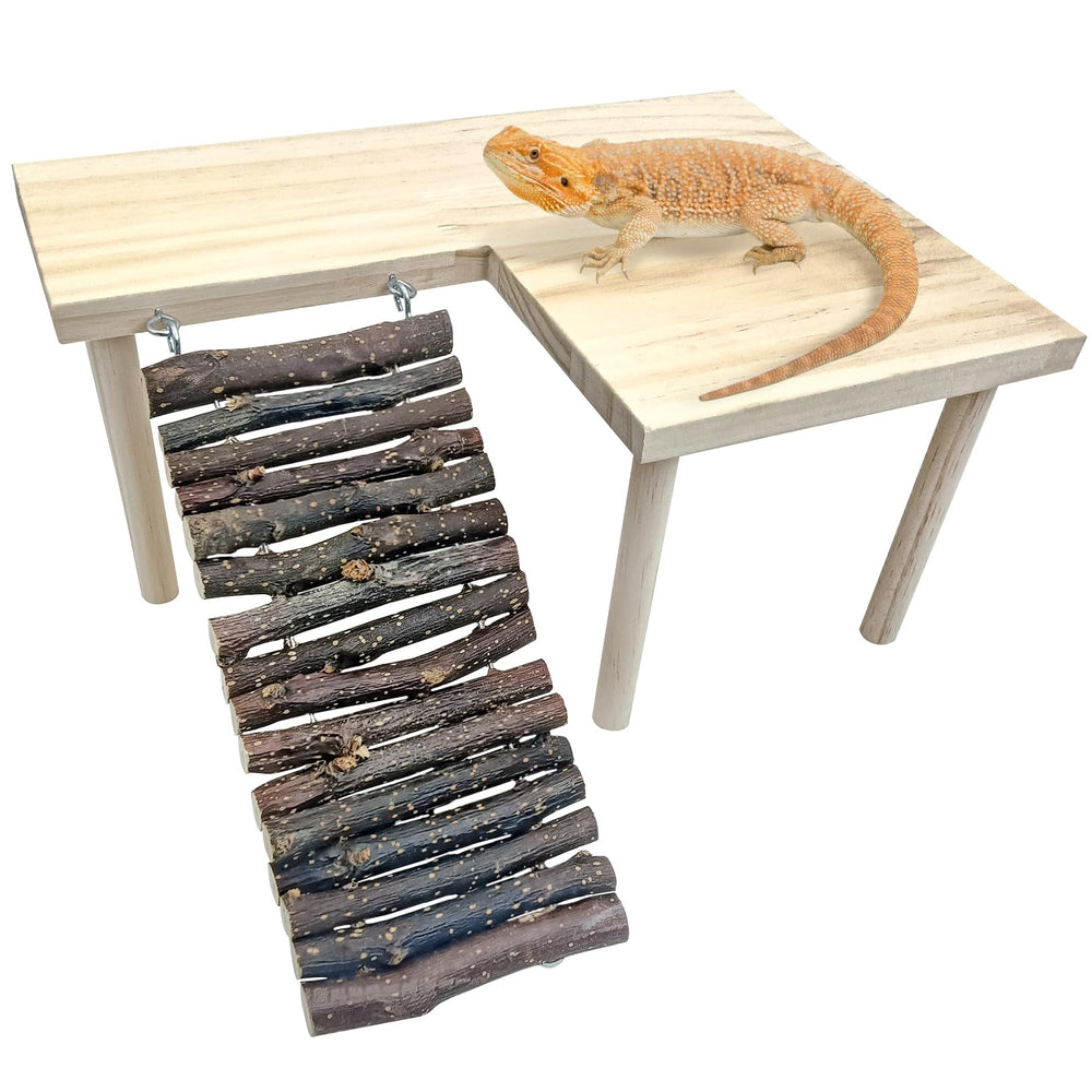 BNOSDM wooden basking platform with ramp enables safe sunning and climbing.