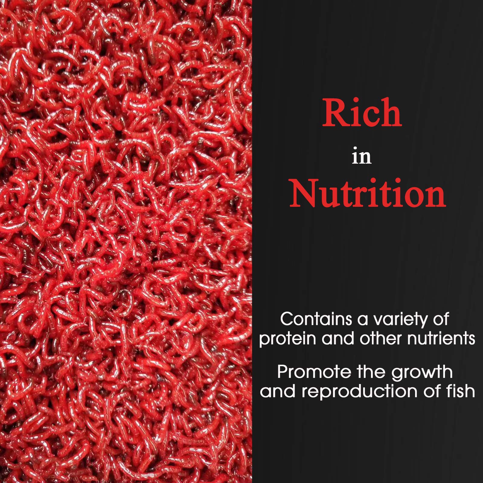 Close-up reveals vivid red-orange hues from BNYEE blood worms.