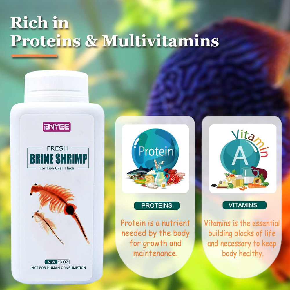 BNYEE Brine Shrimp feeding scene demonstrates color and vitality in tropical fish.