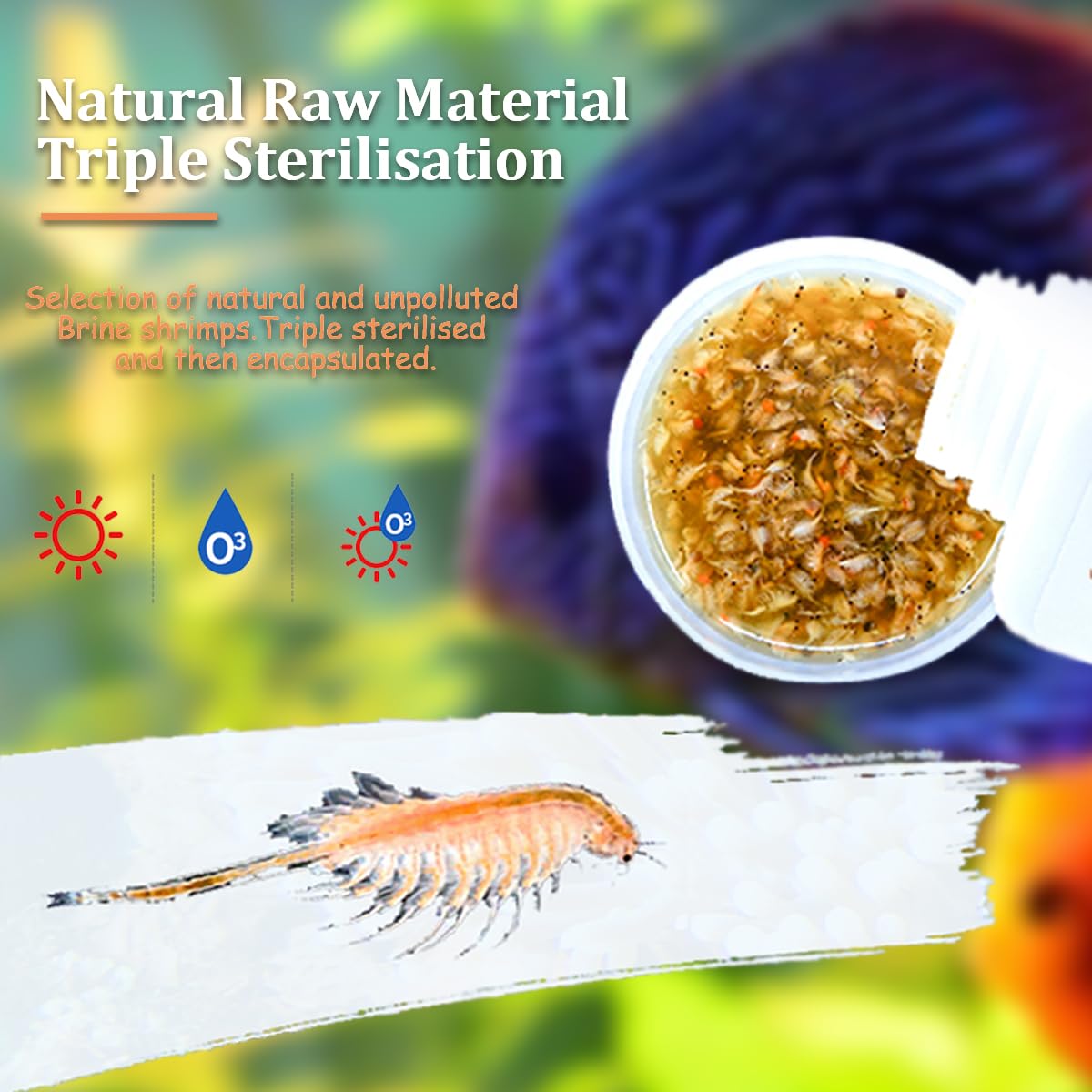 BNYEE Brine Shrimp close-up highlights protein-rich nutrition for growth.