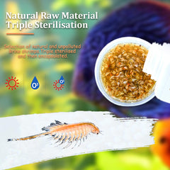 BNYEE Brine Shrimp close-up highlights protein-rich nutrition for growth.