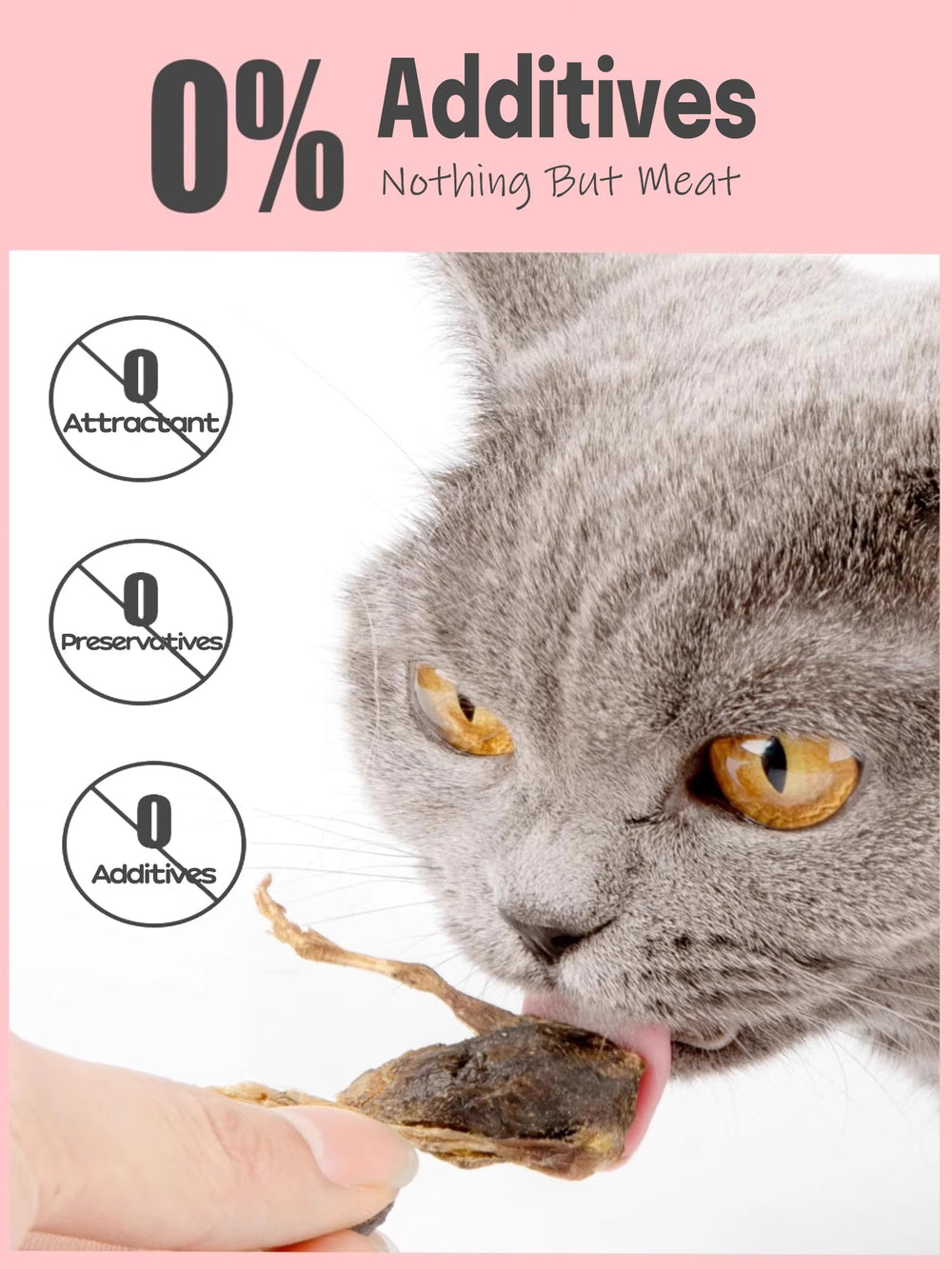 BNYEE cat enjoying quail treat demonstrates grain-free snack option.
