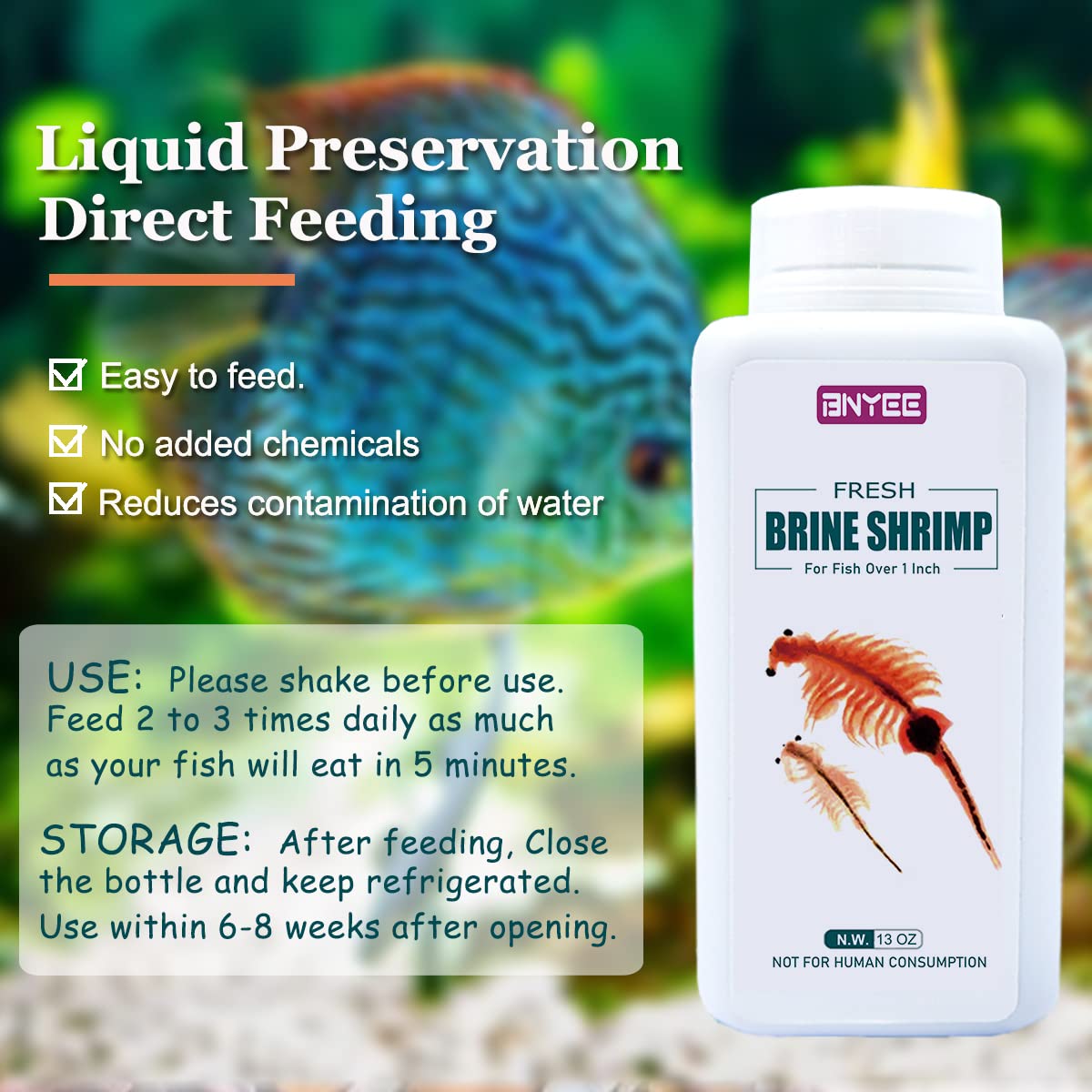 BNYEE Fresh Brine Shrimp aquarium setup shows a convenient staple for finicky feeders.
