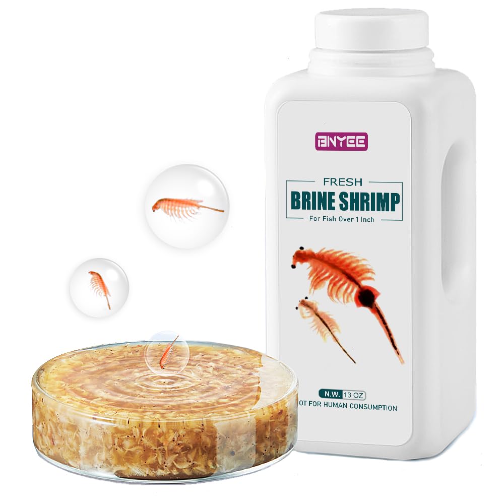 BNYEE Fresh Brine Shrimp bottle for easy feeding of larger fish.