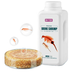 BNYEE Fresh Brine Shrimp bottle for easy feeding of larger fish.