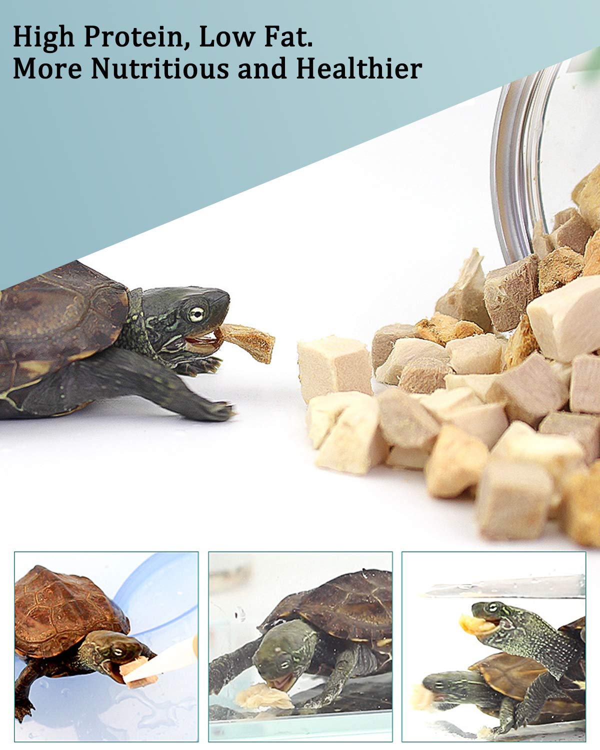 BNYEE pure ingredients emphasize high protein and low fat for turtles