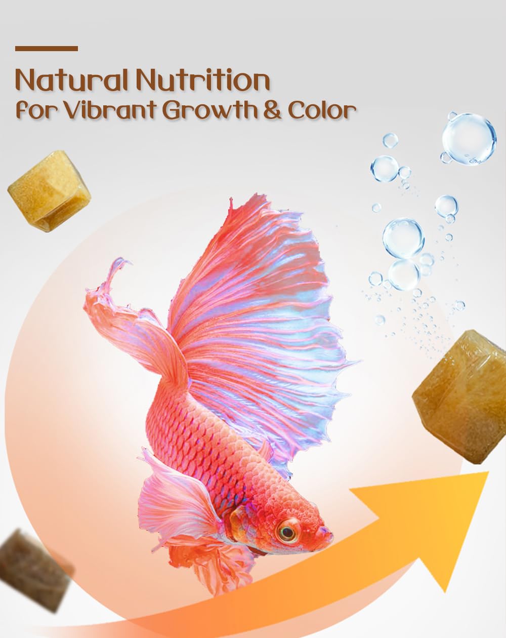 BNYEE Liquid Fish Food feeding small larvae in a tank