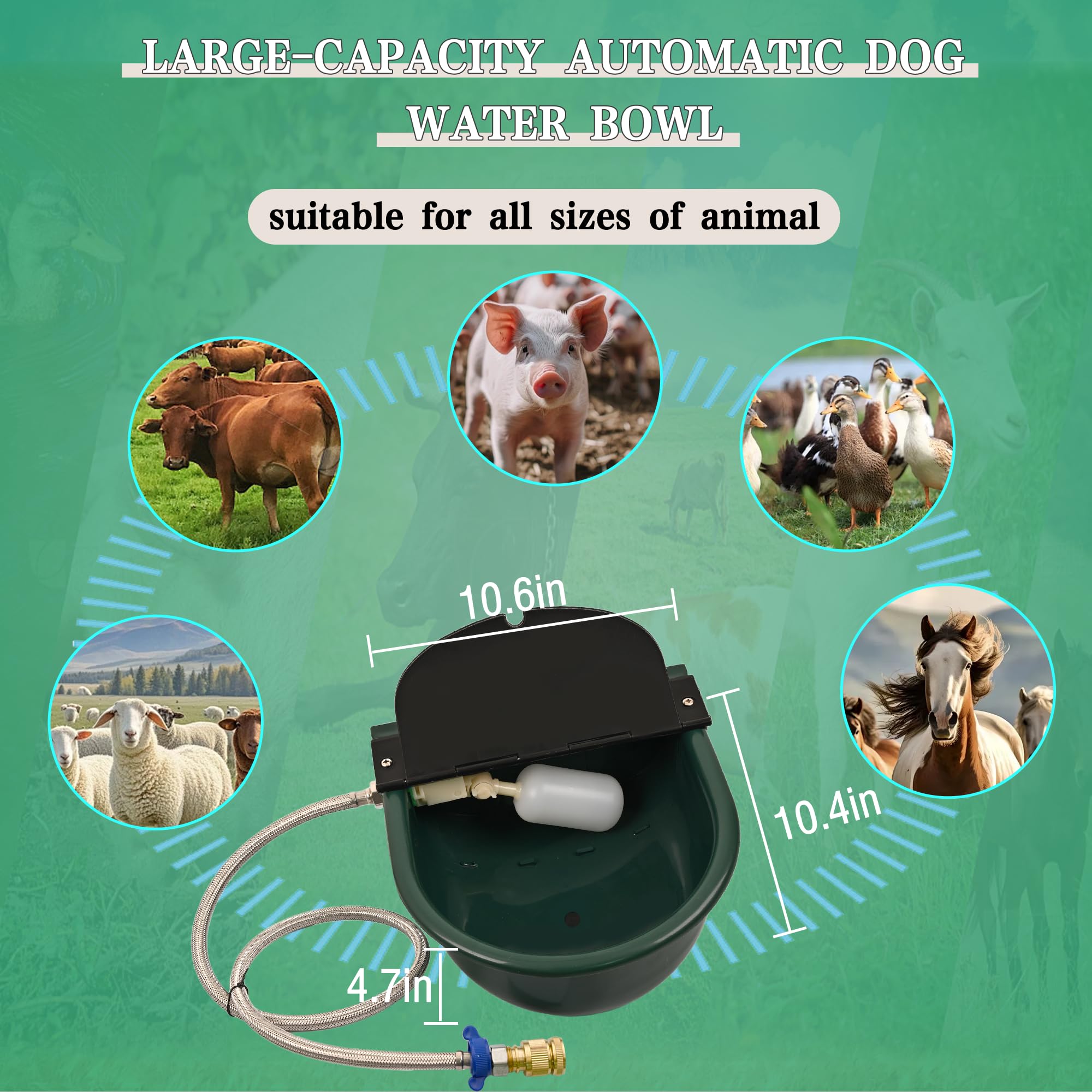 Green Boajf water bowl in use outdoors for pet hydration.