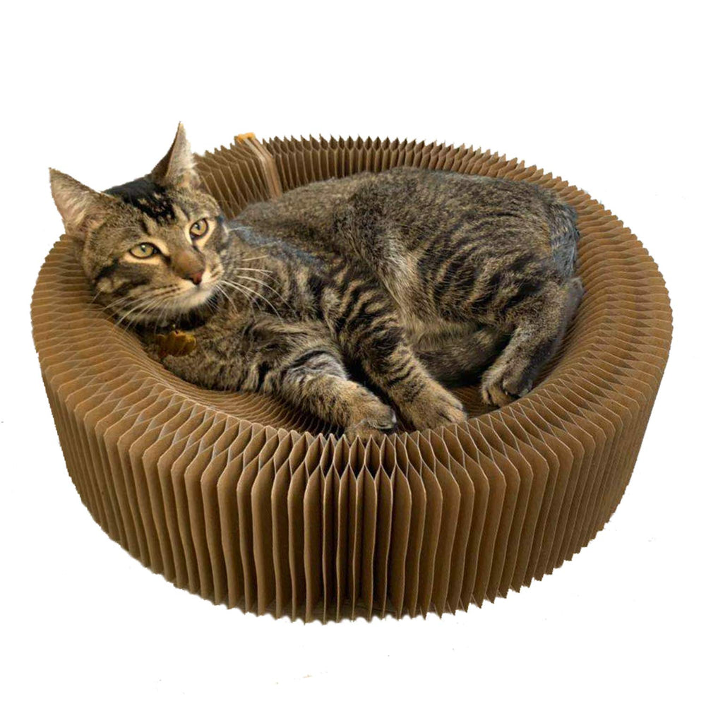 BobbyPet Cat Scratcher Lounge Round 20-Inch for big cats.