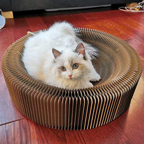 BobbyPet collapsible design makes travel and storage easy.