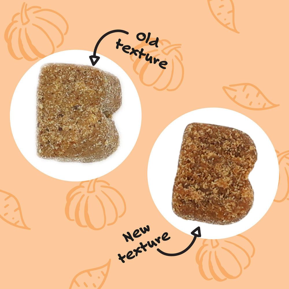 Bocce's Bakery probiotic dog chews — pumpkin and sweet potato flavor