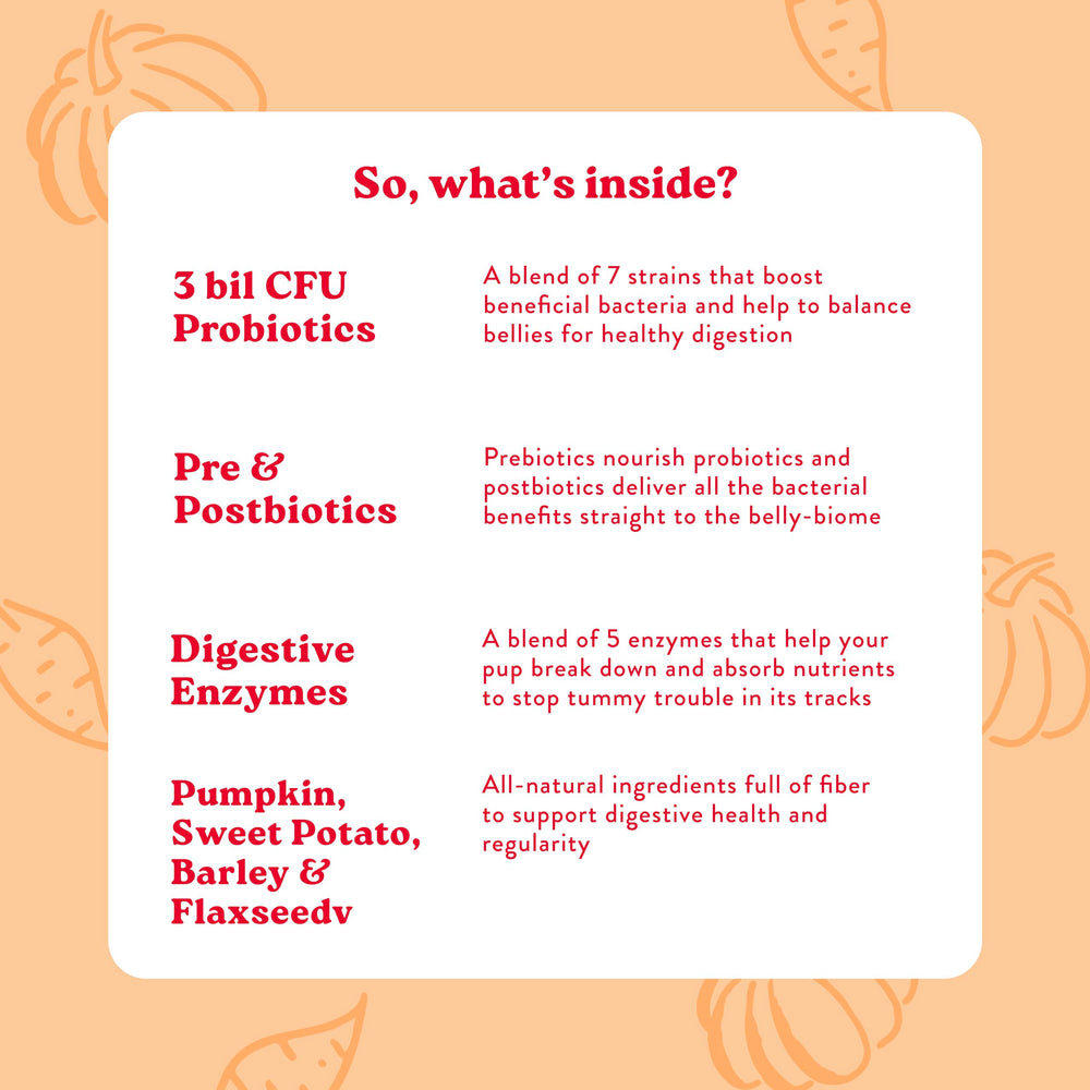 Bocce's Bakery probiotic dog chews — soft, B-shaped texture