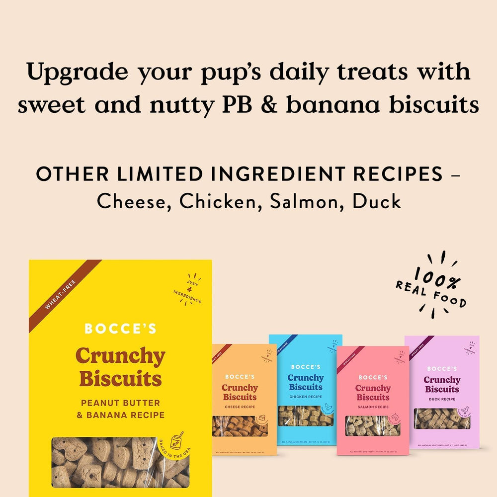 Bocce's PB & Banana USA-baked biscuits show crisp crunch and real ingredients.
