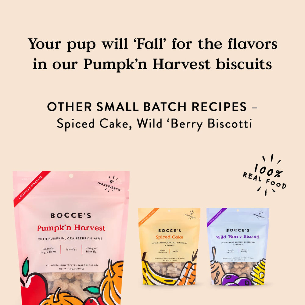Bocce's Bakery Wheat-free recipe image highlights allergen-friendly snack.