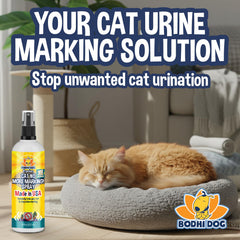 Bodhi Dog Cat No More Marking Spray outdoor application used on plants and outdoor fabrics.