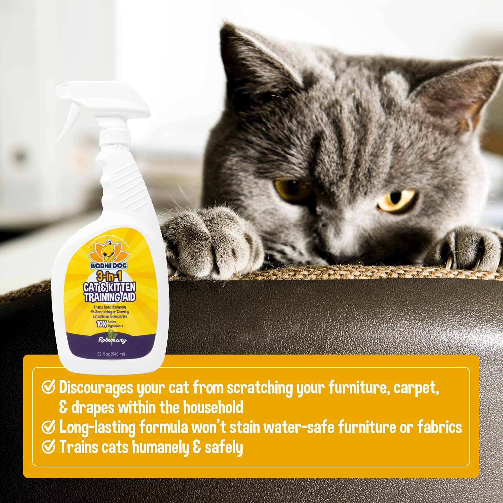 Bodhi Dog training spray outdoors protecting plants and rugs