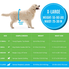 Bodhi Dog diapers wetness indicator shows when to change