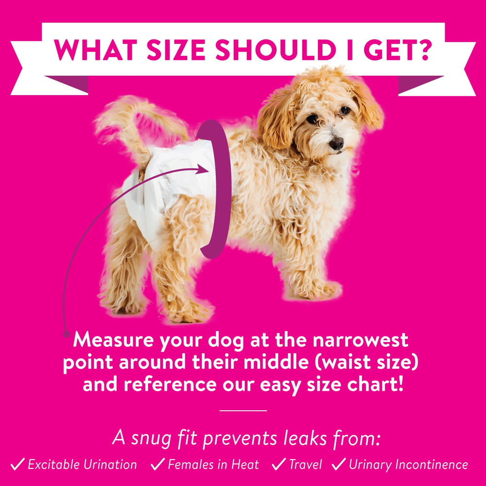 Bodhi Dog diapers with waterproof outer layer protecting floors from leaks.