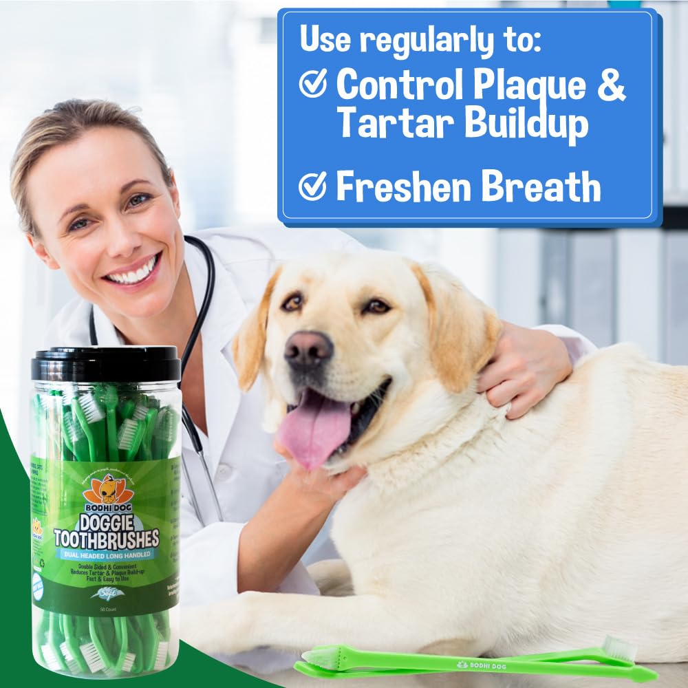 Bodhi Dog 50 count canister indicating convenient daily supply