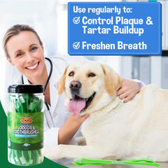 Bodhi Dog 50 count canister indicating convenient daily supply