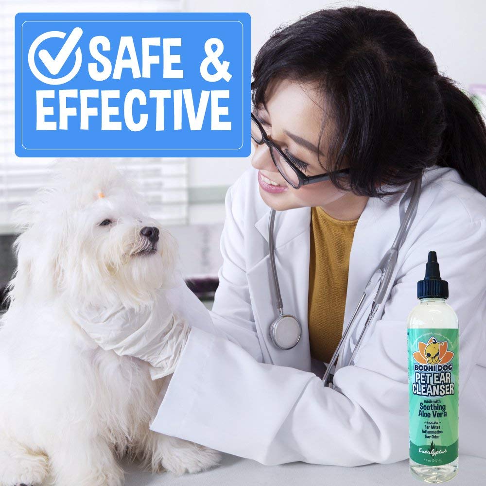 Bodhi Dog Ear Cleaner in a routine ear cleaning setup for daily care.