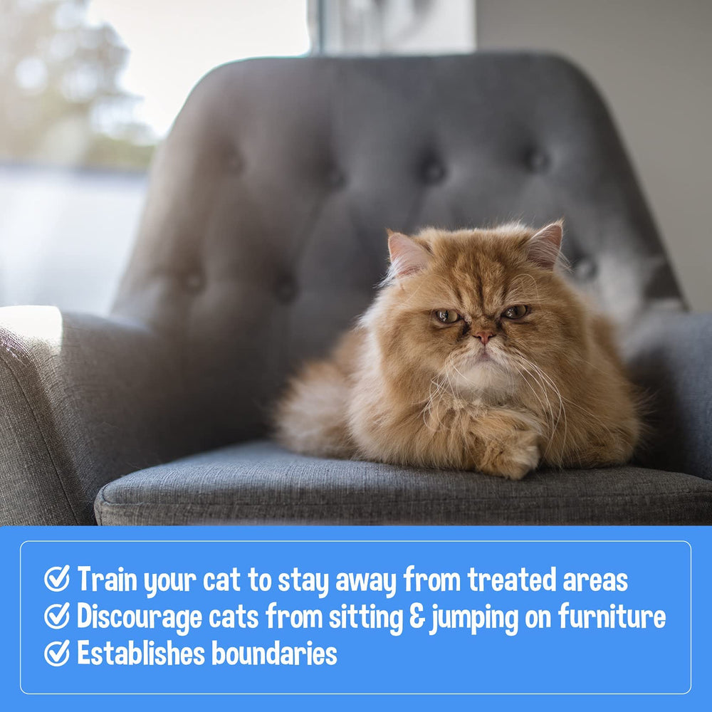 Bodhi Dog eco-packaging highlights sustainable, cruelty-free pet care