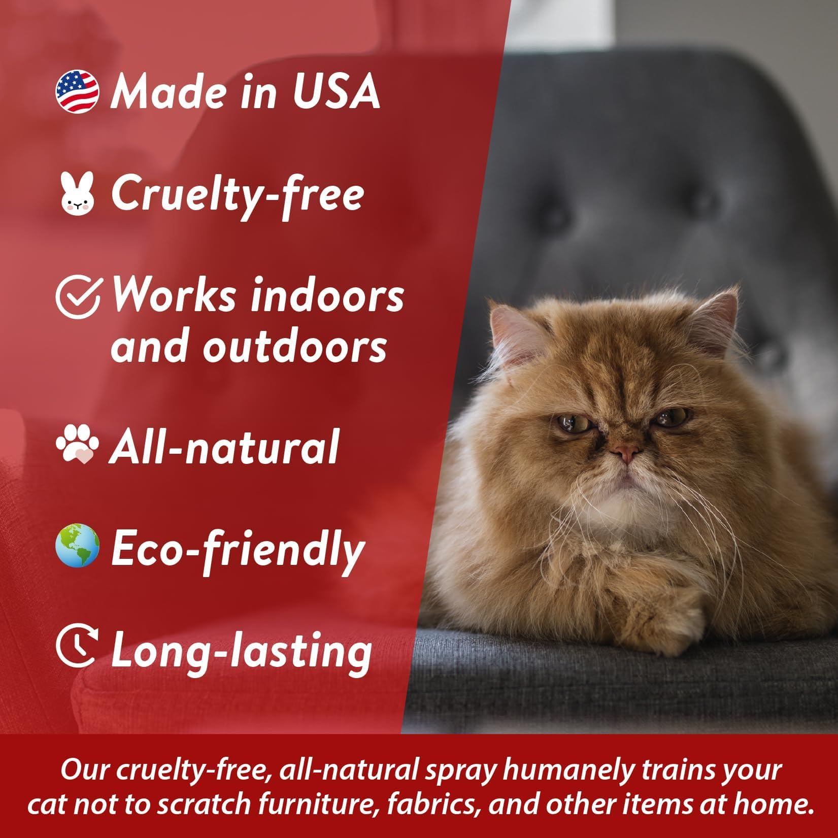 Bodhi Dog furniture protection spray helps guard couches and chairs.
