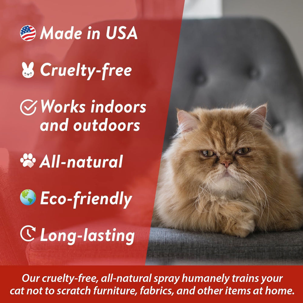 Bodhi Dog furniture protection spray helps guard couches and chairs.