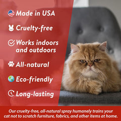 Bodhi Dog furniture protection spray helps guard couches and chairs.